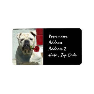 White Bulldog with rose Label