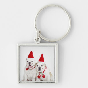 White bulldogs keychain