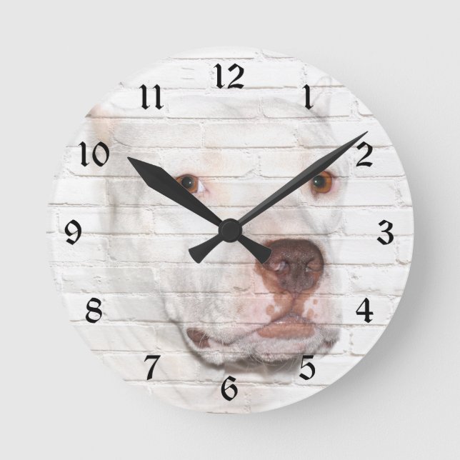 White bully Pitbull Round Clock (Front)