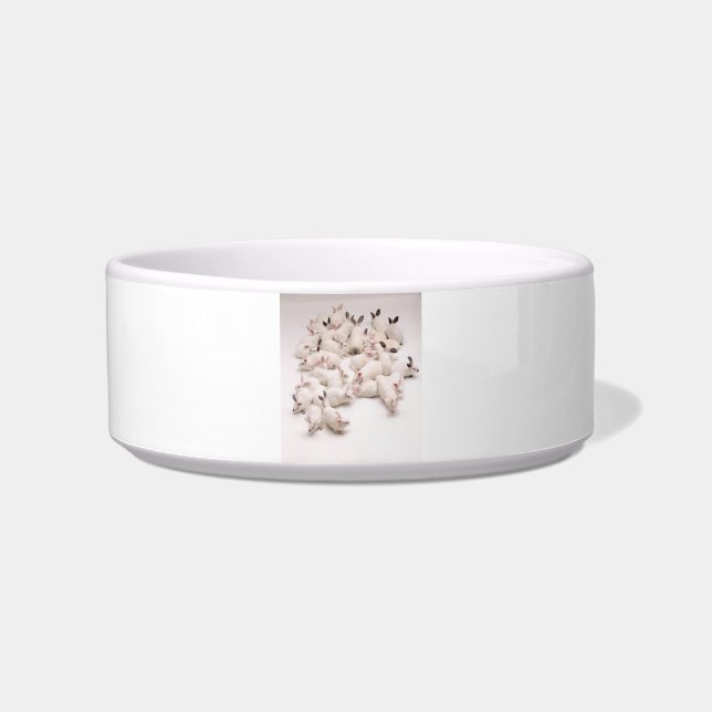 White Bunny Rabbit Pet Bowl (Front)