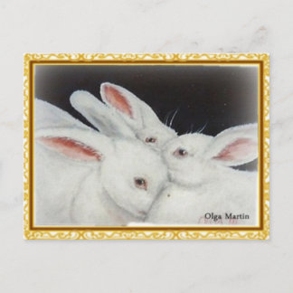 White Bunny Rabbit Postcard