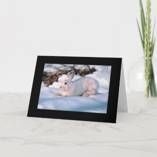 White Bunny Rabbit Winter Snow Photo Holiday Card