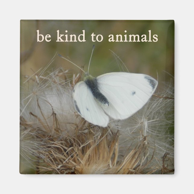 White Butterfly "Be Kind to Animals" Magnet (Devant)
