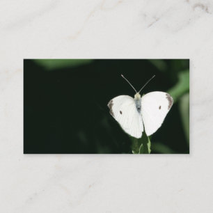 white butterfly business card