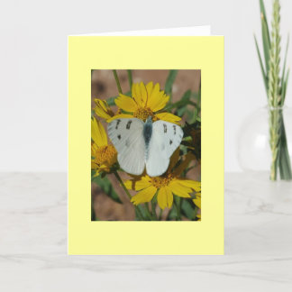 WHITE BUTTERFLY CARD