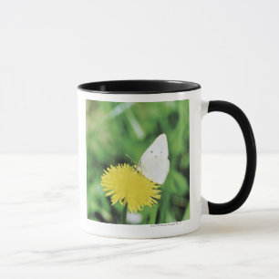 White butterfly feeding on a dandelion mug