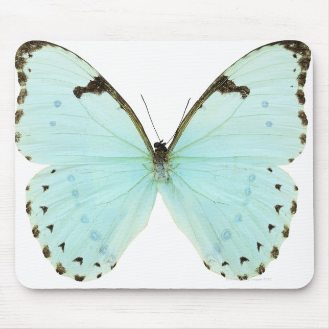 White butterfly mouse pad (Front)