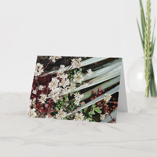 white cactus flower & leaf holiday card (Front)