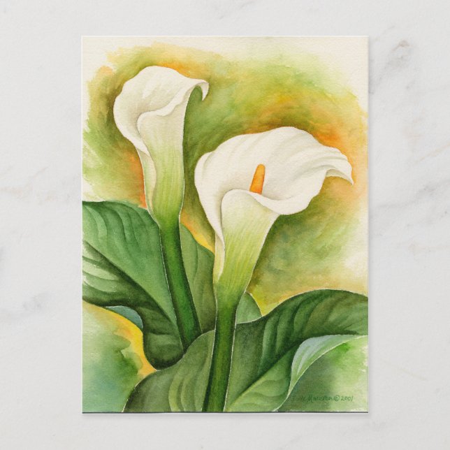 White Cala Lily Floral Watercolor Postcard (Front)