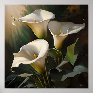 White Calla Lilies Lily Flower Art Print Poster