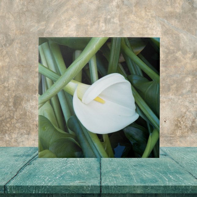 White Calla Lily and Green Foliage Floral Tile (In Situ)