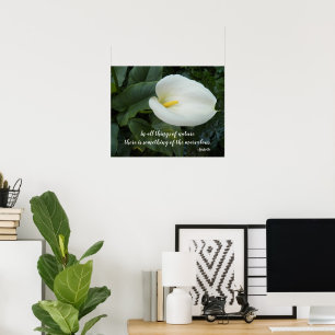 White Calla Lily Aristotle Philosophical Quote Poster