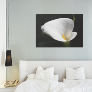 White Calla Lily Bloom Floral Canvas Print