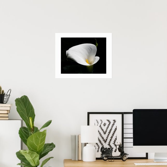 White Calla Lily Bloom Floral Poster (Home Office)