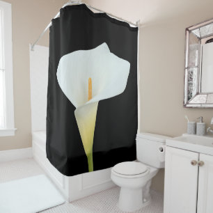 White Calla Lily Flower Backyard Garden Photo