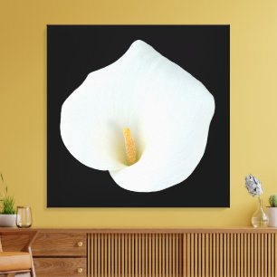 White Calla Lily Flower Backyard Garden Photo Canvas Print