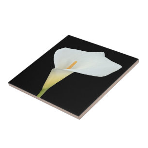 White Calla Lily Flower Backyard Garden Photo Tile