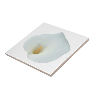 White Calla Lily Flower Backyard Garden Photo  Tile