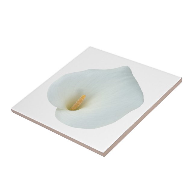 White Calla Lily Flower Backyard Garden Photo  Tile (Side)