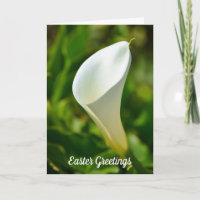 White Calla Lily Flower Easter Card