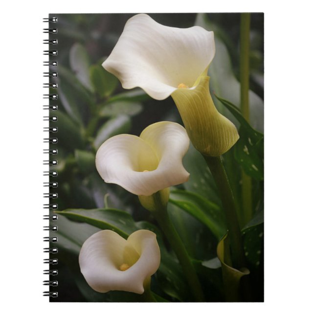 White Calla Lily Garden Journal Notebook (Front)