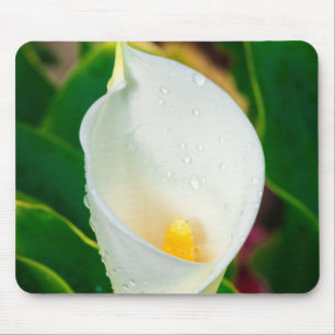 White Calla Lily Macro Botanical Photo Nature Art Mouse Pad