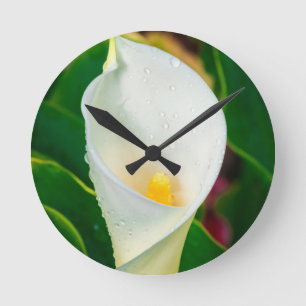 White Calla Lily Macro Botanical Photo Nature Art Round Clock