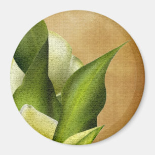 White Callas Magnet
