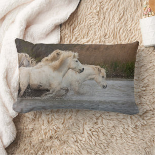 White Camargue Horses Running in Water Lumbar Pillow
