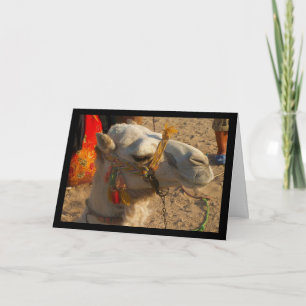 White Camel in Desert Card