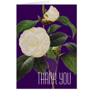 White Camellia