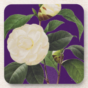 White Camellia, 1833 Coaster