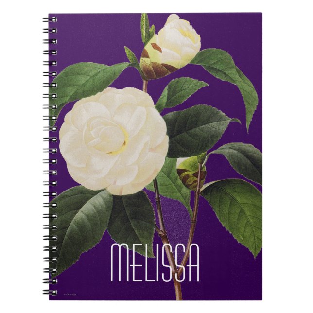 White Camellia, 1833 Notebook (Front)