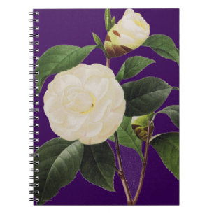 White Camellia, 1833 Notebook