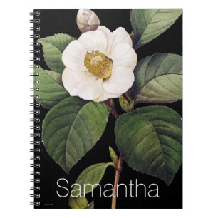 White Camellia Notebook