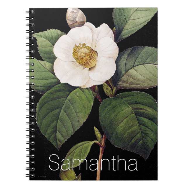 White Camellia Notebook (Front)