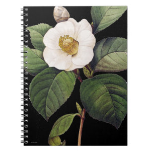 White Camellia Notebook