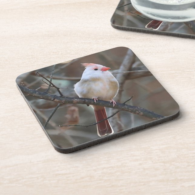 white cardinal coaster (Left Side)