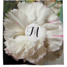 White Carnation Watercolor Fine Floral