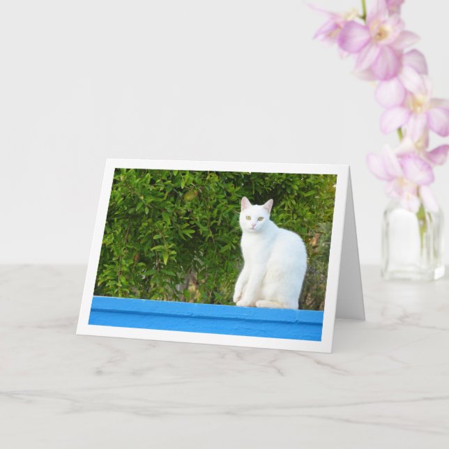 White Cat at Pomegranate Tree Card (Orchid)