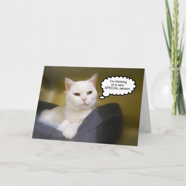 White Cat Birthday Humour Card (Front)