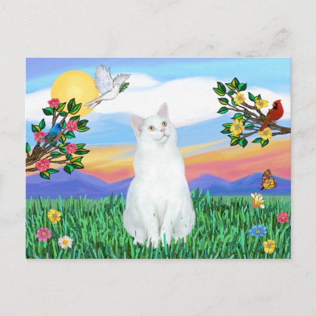 White Cat - Bright Life Postcard (Front)
