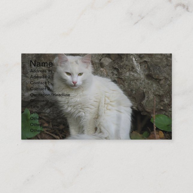 White Cat Business Card (Front)