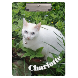White Cat , Customize Name and Photo, Clipboard