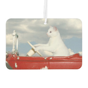 White cat drives a car air freshener