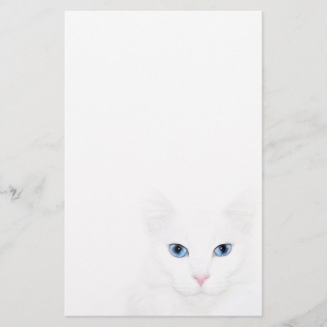 White cat face stationery (Front)