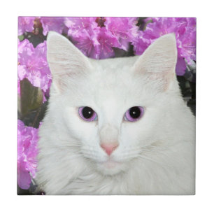 White cat face tile