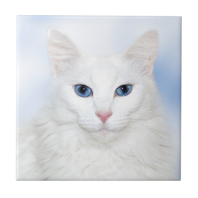 White cat face tile (Front)