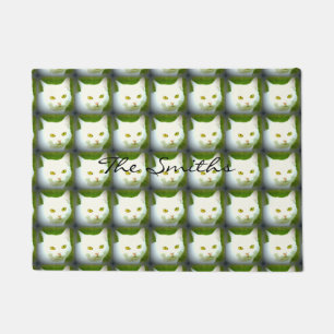 white cat faces doormat