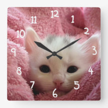 White cat in pink